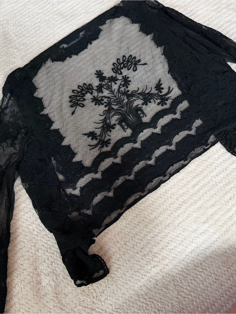 Rabbit Rabbit Rabbit Black Lace Sheer Cropped Cardigan - Picture 4 of 4